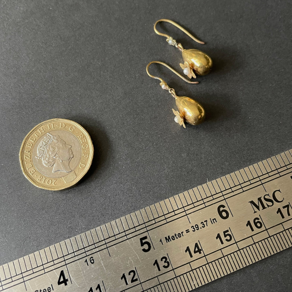 Gold earrings next to ruler and coin.