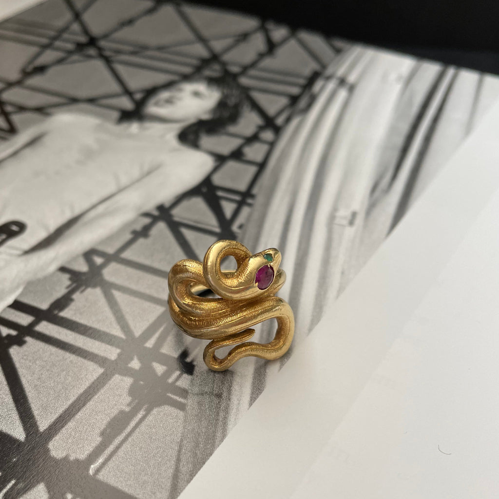 Gold serpent ring on photograph of Mick Jagger from the Rolling Stones.